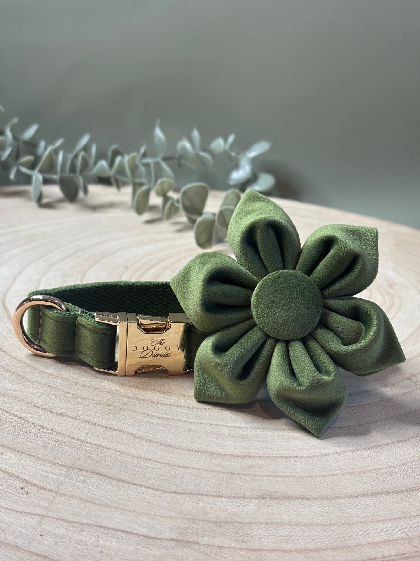 Olive Velvet Collar