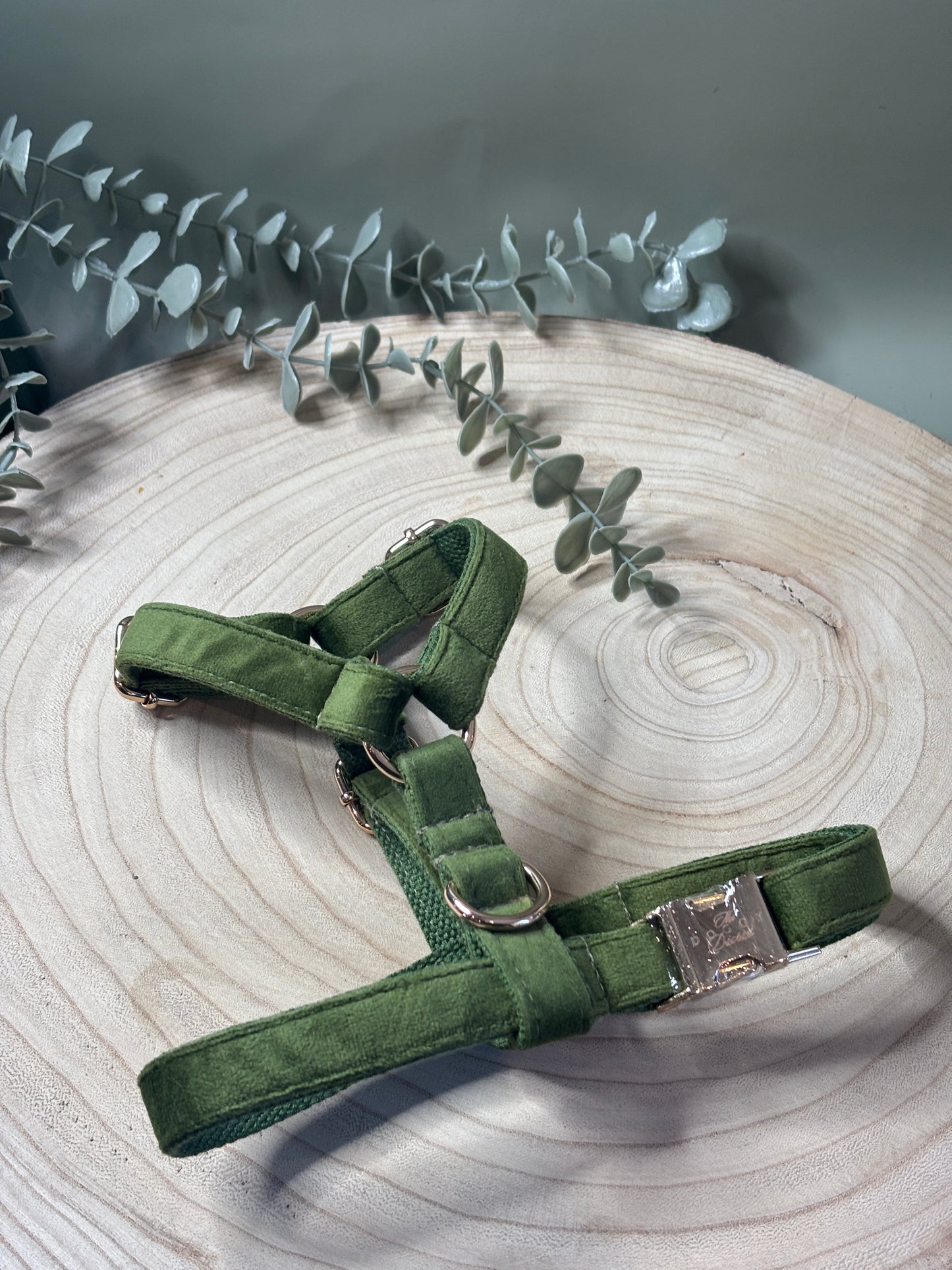 Olive Velvet Fully Adjustable Harness