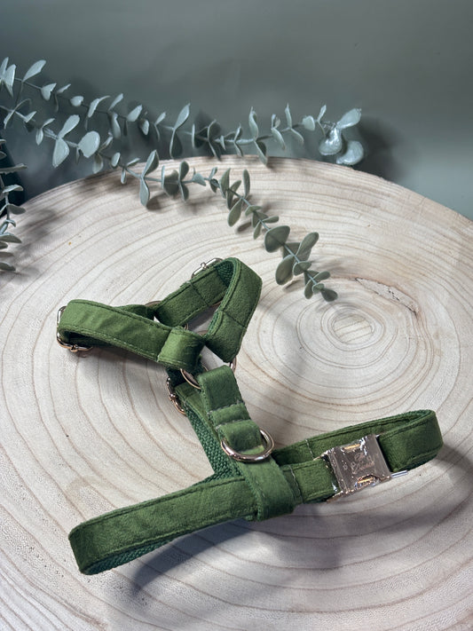 Olive Velvet Fully Adjustable Harness