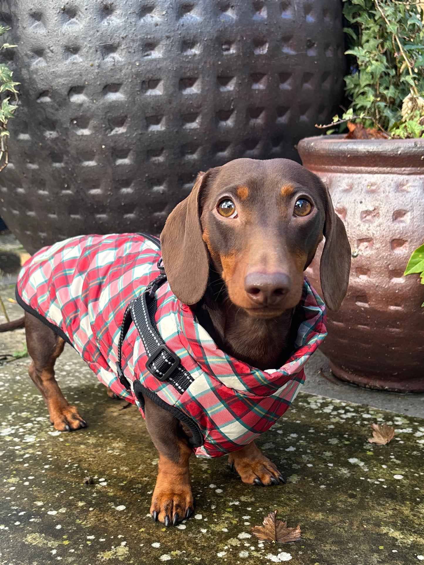 Heritage Tartan Harness Coat