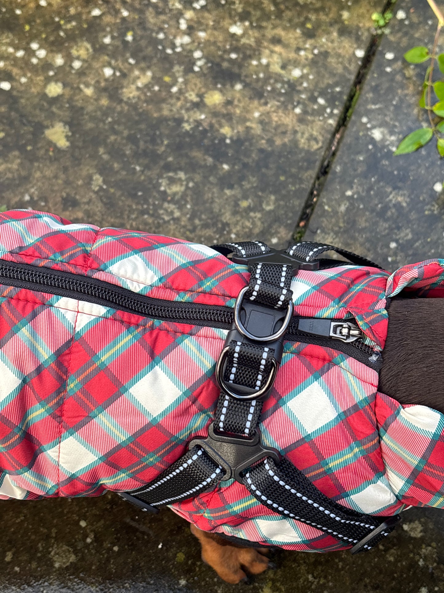 Heritage Tartan Harness Coat