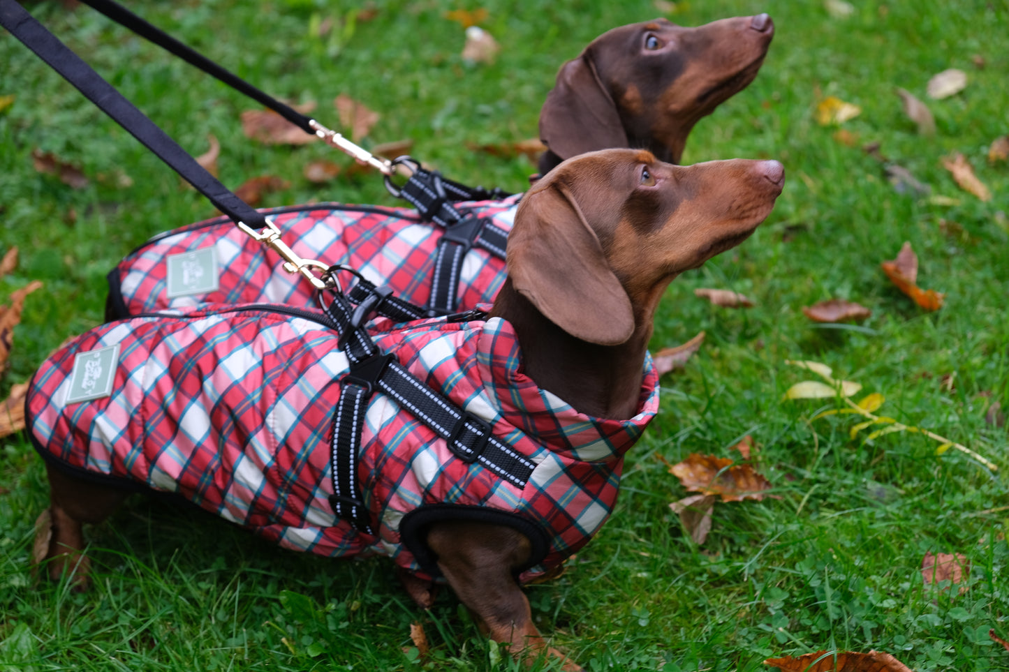 Heritage Tartan Harness Coat