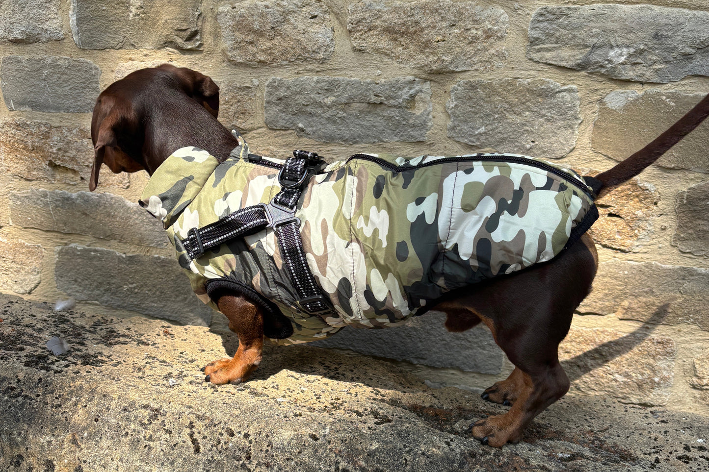2026 Camouflage Harness Coat