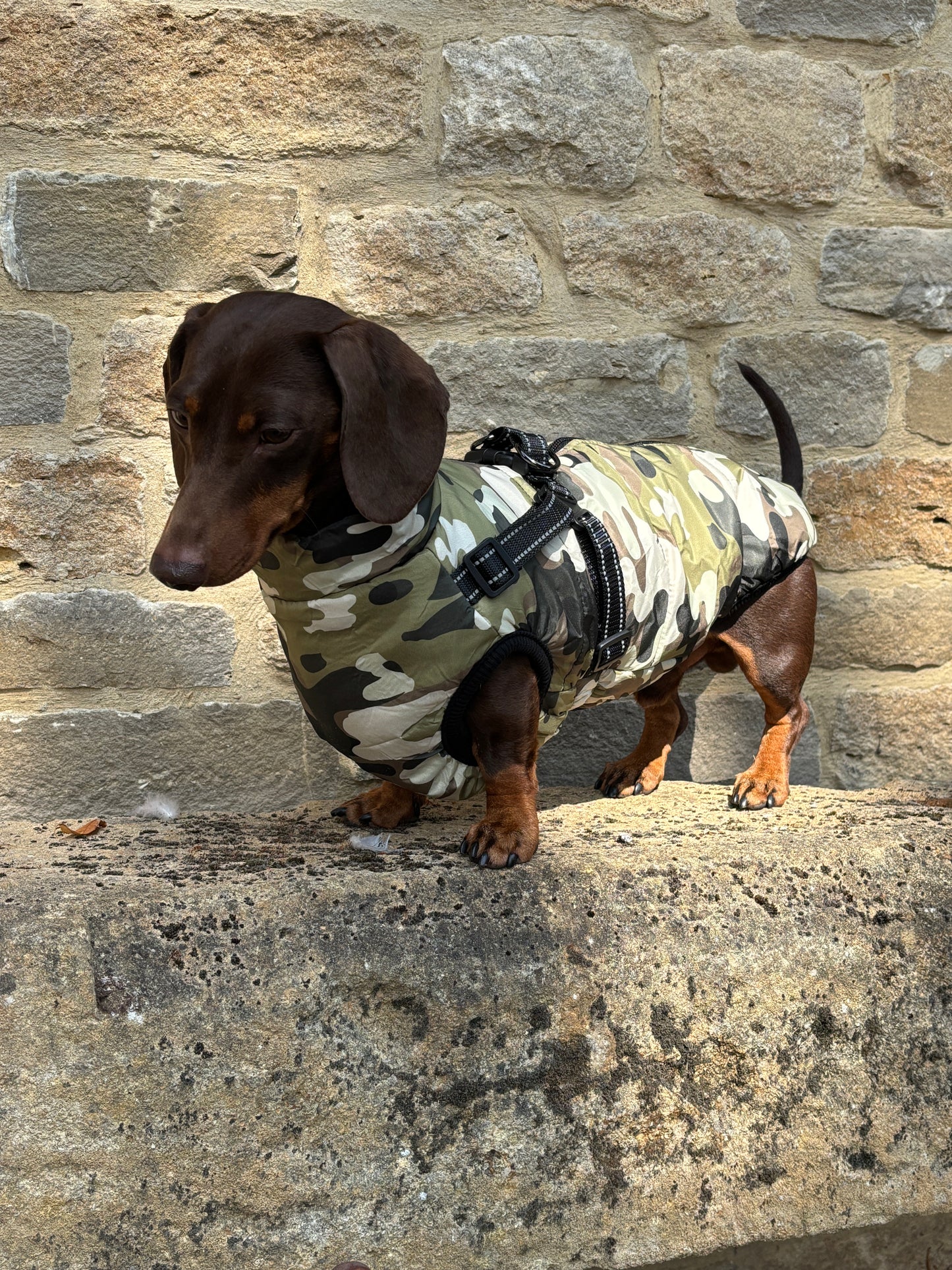 2026 Camouflage Harness Coat